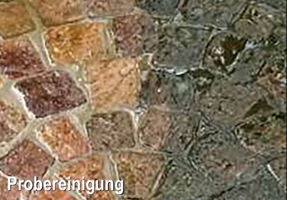 Probereinigung